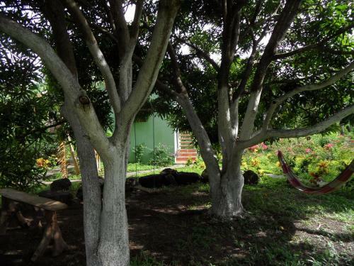 Bed & Breakfast Finca Montania Sagrada