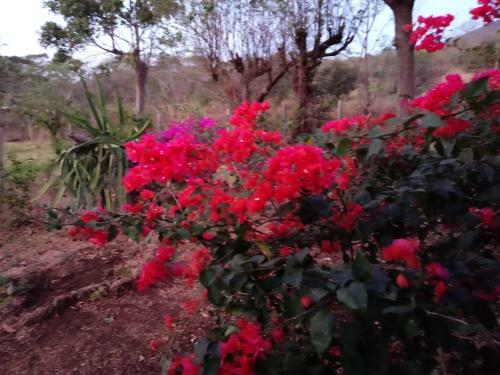 Bed & Breakfast Finca Montania Sagrada
