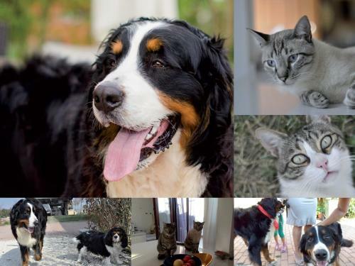 Agroturismo B&B Torricella