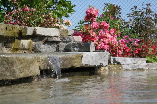 Agroturismo B&B Torricella