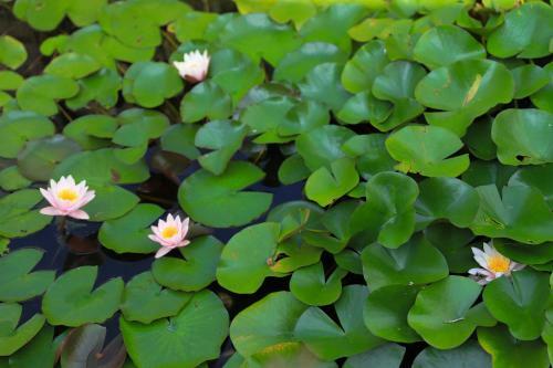 Agroturismo B&B Torricella