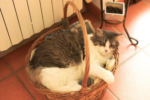 Agroturismo B&B Torricella