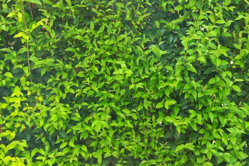 Agroturismo B&B Torricella