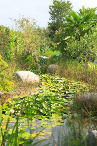 Agroturismo B&B Torricella