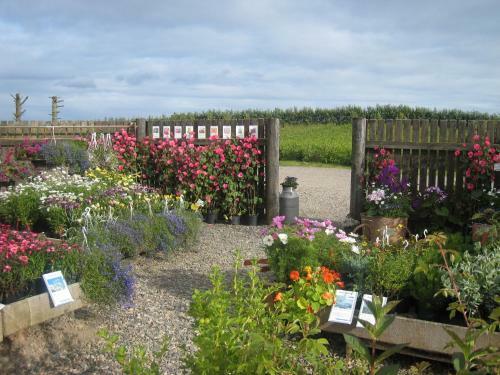 Hostal Dilksnes Guesthouse