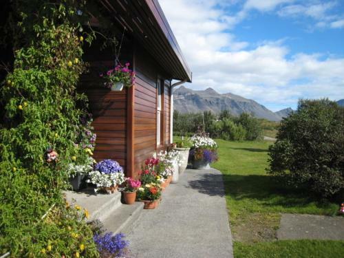 Hostal Dilksnes Guesthouse