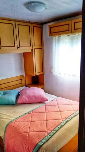 Campigir S�o Torpes