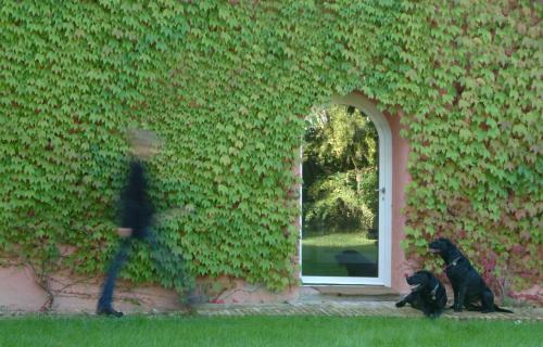 Agroturismo Residenza Le Versegge