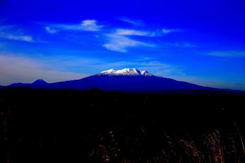 Tussock Grove Boutique Hotel