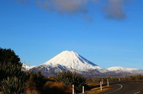 Tussock Grove Boutique Hotel