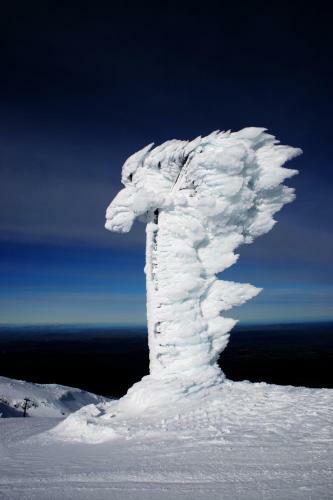 Tussock Grove Boutique Hotel