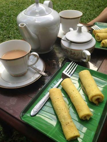 Bed & Breakfast Villa Taprobane