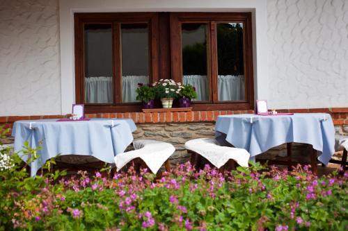 Hostal St.michael Panzi� Lovaspark