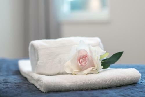 Efinor Hotel Flor�