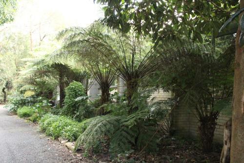 Motel Comfort Inn Foster