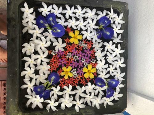 Hostal Blue Ocean Villa