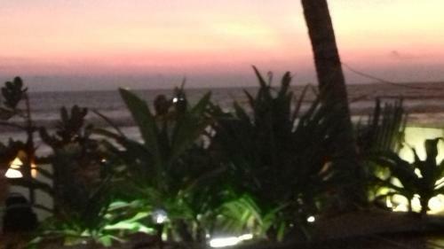Hostal Blue Ocean Villa