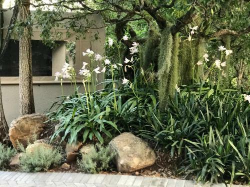 Hostal Birds Babble Self Catering Guesthouse