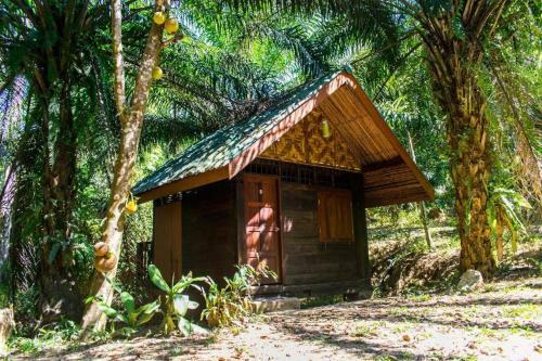 Hotel Khao Sok Silver Cliff Resort