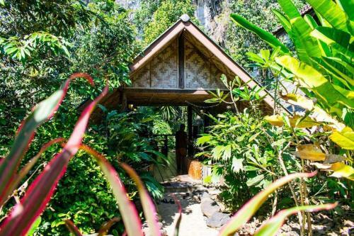 Hotel Khao Sok Silver Cliff Resort
