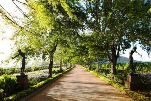 Hotel Delaire Graff Lodges And Spa