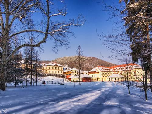 Erzs�bet Park Hotel