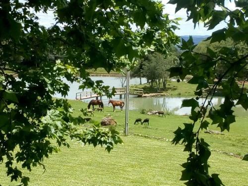 Agroturismo Recanto Dos Pioneiros