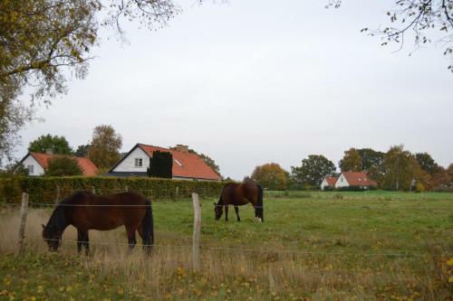 Bed & Breakfast Nyk�bing Falster