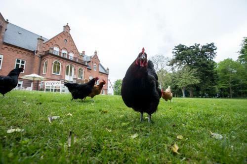 Bed & Breakfast Nyk�bing Falster