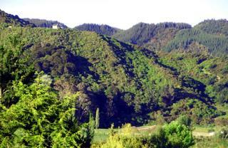 Chalets @ Terraced Gardens