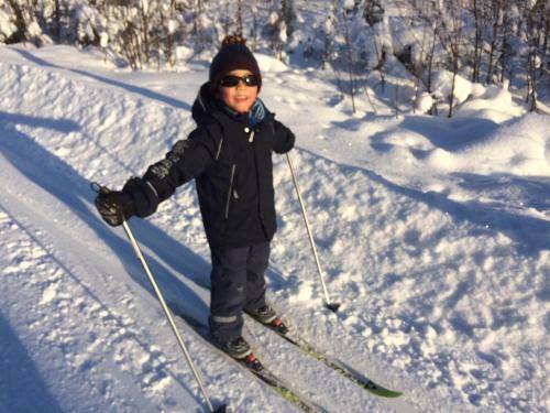 Casa Arctica Apartments