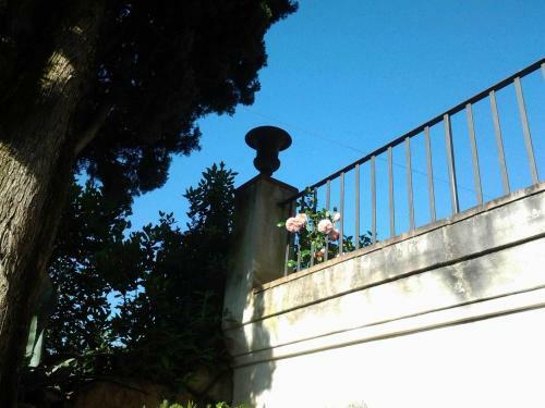 Agroturismo Residenza San Leo