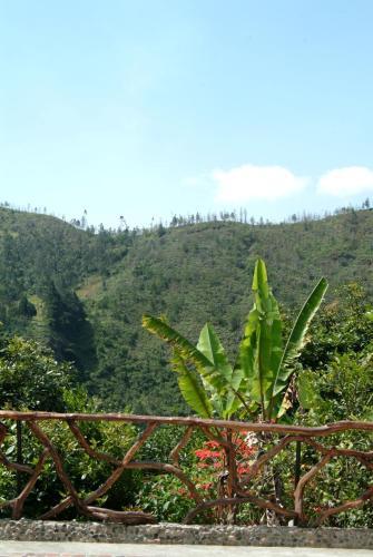 Hosteria Finca Chamanapamba