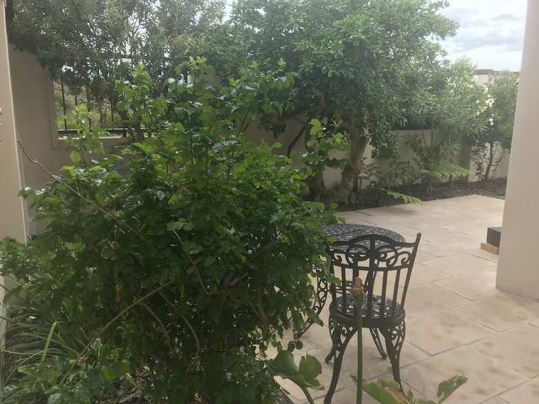 Bed & Breakfast Villa Venusta