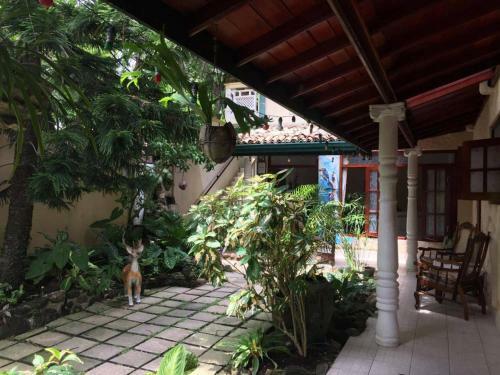 Hostal Palm Grove