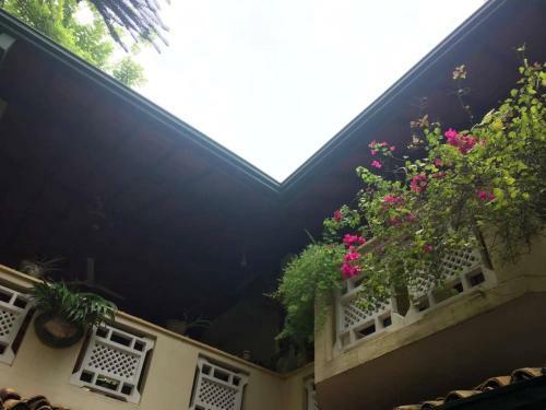 Hostal Palm Grove