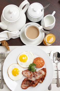 Bed & Breakfast The Potting Shed Guest House