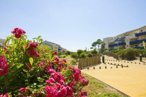 Aparthotel R�sidence Pierre&vacances Bleu Marine