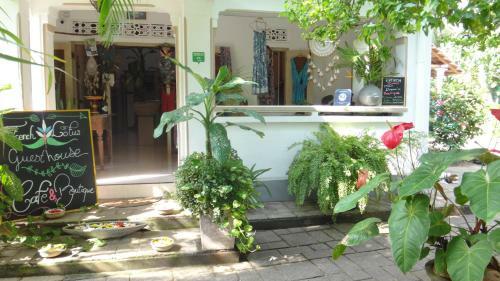 Bed & Breakfast French Lotus