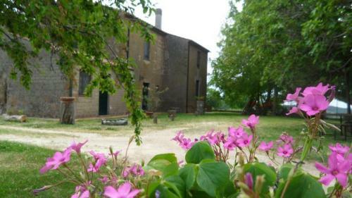 Agroturismo Agriturismo Carbonaio