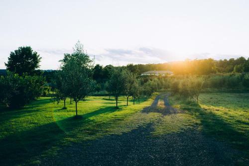 Bed & Breakfast Podere San Francesco
