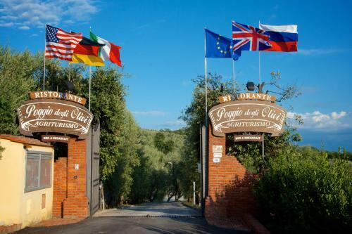 Bed & Breakfast Poggio Degli Olivi