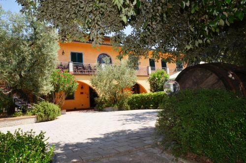 Bed & Breakfast Poggio Degli Olivi