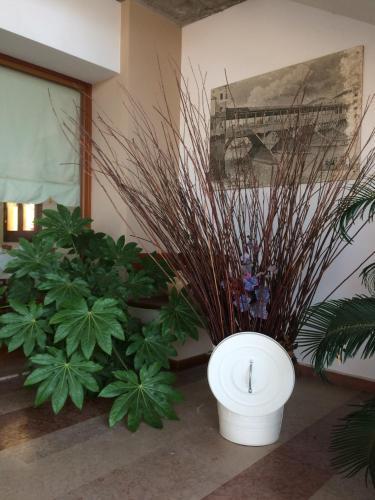 Bed & Breakfast Societ� Agricola Crocerone S.s.