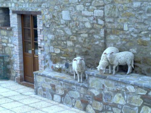 Hostal Agriturismo Le Case Rosse Di Montebuono