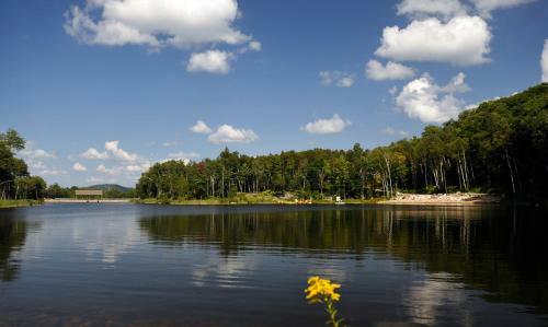 Hotel H�tel Mont-blanc