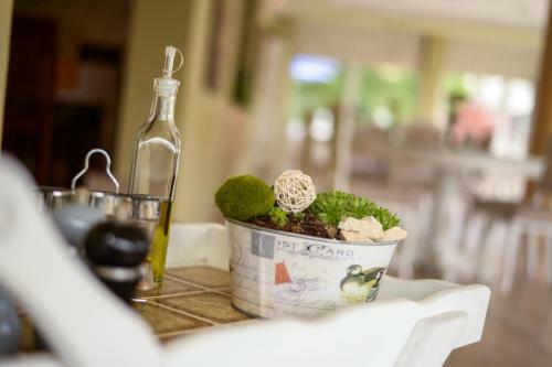 Hostal Guest House Fontana