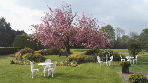 Agroturismo Grovefield House Hotel