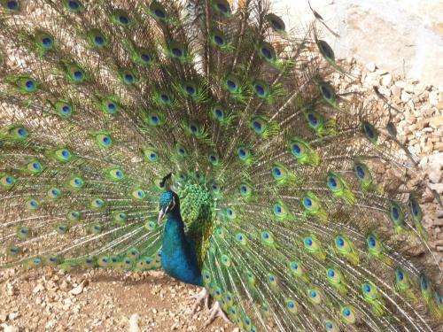 Agroturismo Eco-selo Grabovica