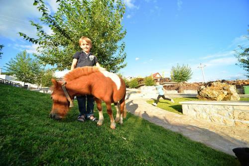Agroturismo Eco-selo Grabovica